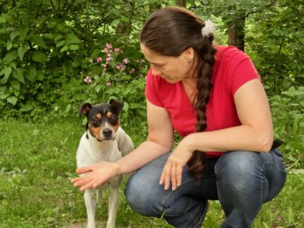 Z.O.P.F. Hundeverhaltensberatung und Training