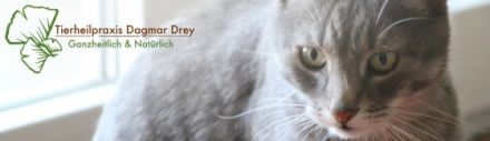 Tierheilpraxis Dagmar Drey