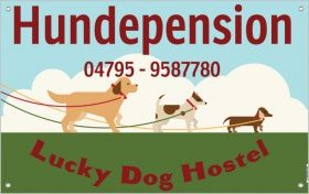Hundepension " Lucky Dog Hostel "