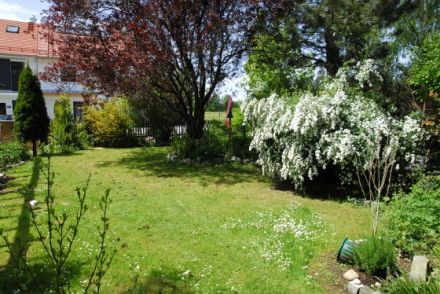 Hundepension STEINMETZ