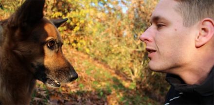 Dog4 - Hundeverhaltensberatung, Training &Therapie