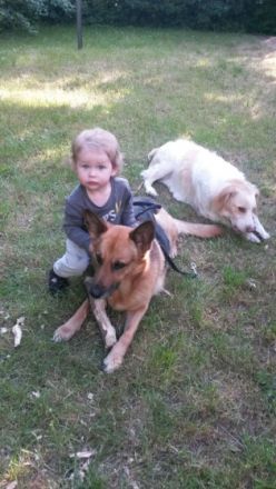 Dog4 - Hundeverhaltensberatung, Training &Therapie