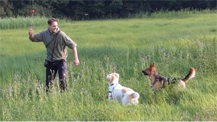 Dog4 - Hundeverhaltensberatung, Training &Therapie