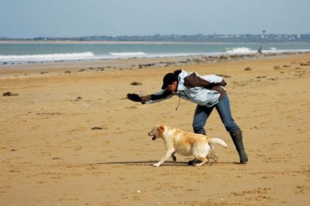 Tierpsychologische Hundeschule Marschall