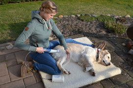 Tierphysiotherapie und Chiropraktik Michelle Emmert