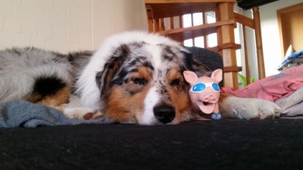 SRS The Womanizer Baily