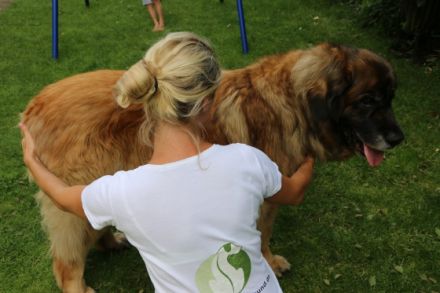 Nadine Kosian, Tierheilpraktikerin & Osteopathin für Kleintiere