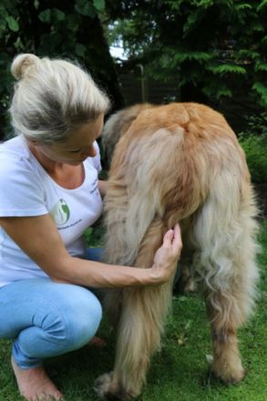 Nadine Kosian, Tierheilpraktikerin & Osteopathin für Kleintiere