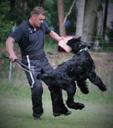 Pontifex Maximus v. Blackmoore