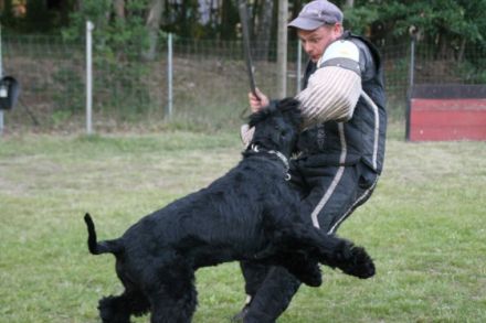 Pontifex Maximus v. Blackmoore