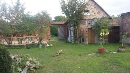 Hunde-Hof Wald & Wiese