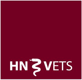 HN-Vets UG