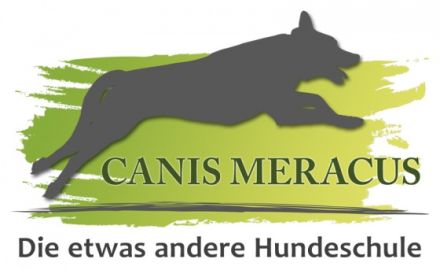 CANIS MERACUS - Die etwas andere Hundeschule