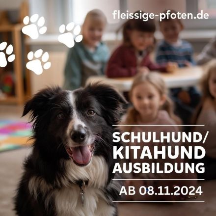 Hundeschule Fleissige Pfoten