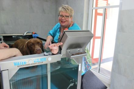 Kleintierpraxis für Physiotherapie&Osteopathie Anne Freischlad-Jahn