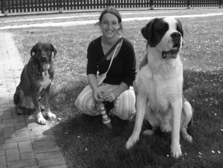 4 Pfoten der Wahrnehmung