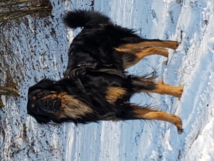 vom Heidschnuckenhof