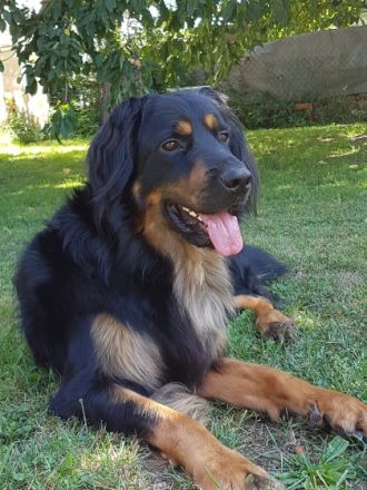 vom Heidschnuckenhof