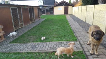 Hundezentrum Haus KaStMa