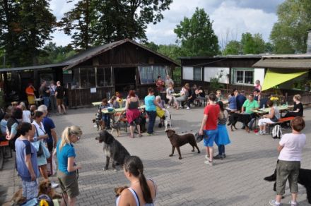 Hundezentrum Pfalz