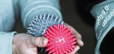 Hundephysio Ostsee - Physiotherapie und Bewegungstraining für Hunde - Isabelle Lamp-Greve