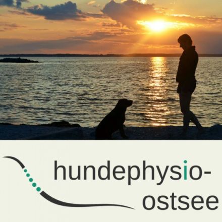 Hundephysio Ostsee - Physiotherapie und Bewegungstraining für Hunde - Isabelle Lamp-Greve