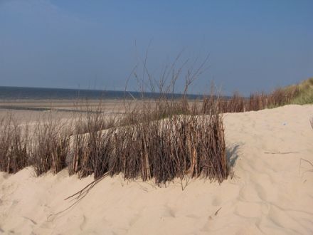 Chalet Seestern (belgische Nordsee)