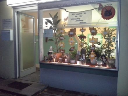 Tierheilpraxis E. Bierwagen