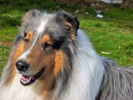 Geronimos Grandson vom Kaltwassertal