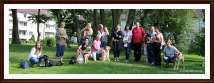 Rudelbildung-Mensch und Hund im Einklang