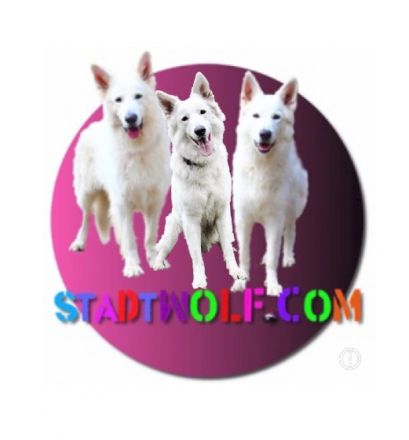Stadtwolf.com