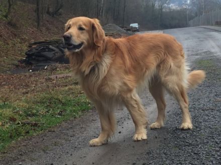 Vom Wildweibchenstein