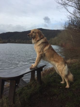 Vom Wildweibchenstein