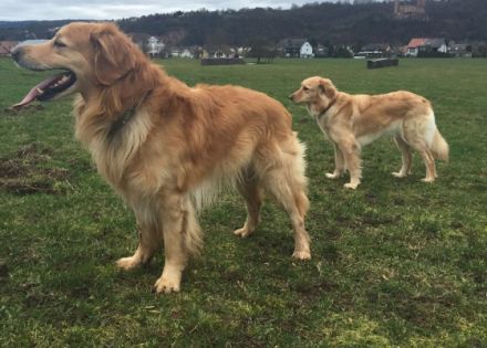 Vom Wildweibchenstein