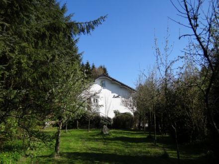 Hundepension - mobile Hundeschule