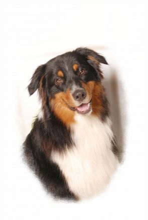 Tecumas Heartbreaker DNA-VP