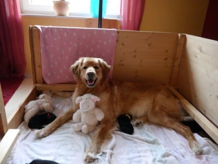 von den Flecker Schlossgeistern