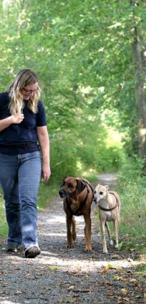 Weggefährte Hund - Hundeschule Bad Windsheim