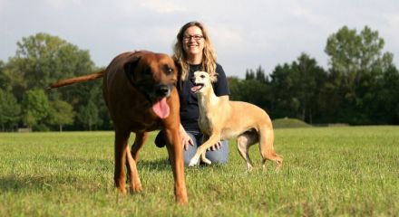 Weggefährte Hund - Hundeschule Bad Windsheim