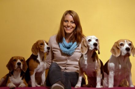 Standfest - Hundephysio- & Osteotherapie