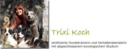 Hundeschule Hundstage