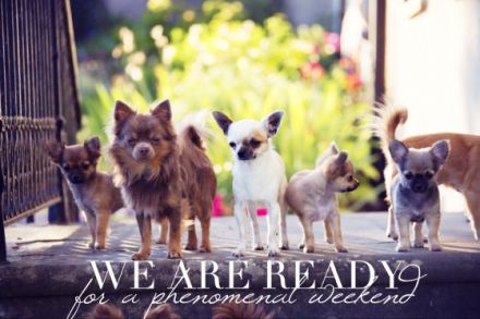 of RoyalContinentals