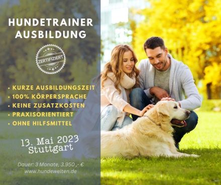 Ausbildung zert Hundetrainer nach SDTS Fachrichtung Problemtherapie