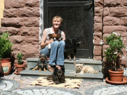 Hundepension für kleine Hunde