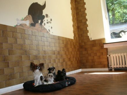 Hundepension für kleine Hunde