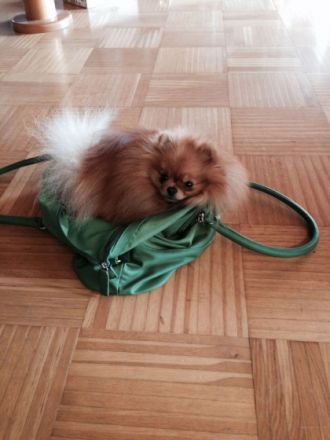 Sultan Jonni Zvezdny Podarok