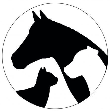 Osteopathiepraxis Tiere in Schwung