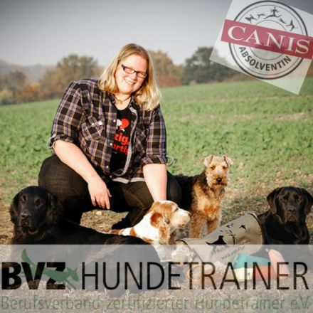 WahnsinnsHundetraining - Verhaltensberatung