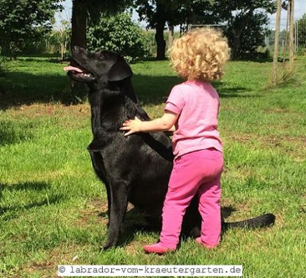 Ultimate Mandela vom Kräutergarten