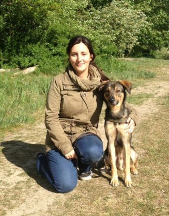 Hunde Ahoi! Hundetraining & Dogwalking